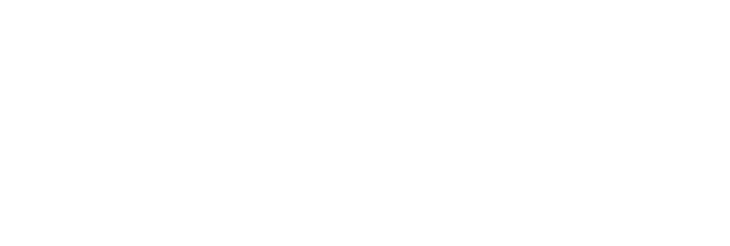 BRAVO Aviation